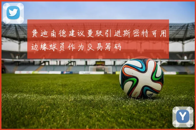 费迪南德建议曼联引进斯密特可用边缘球员作为交易筹码