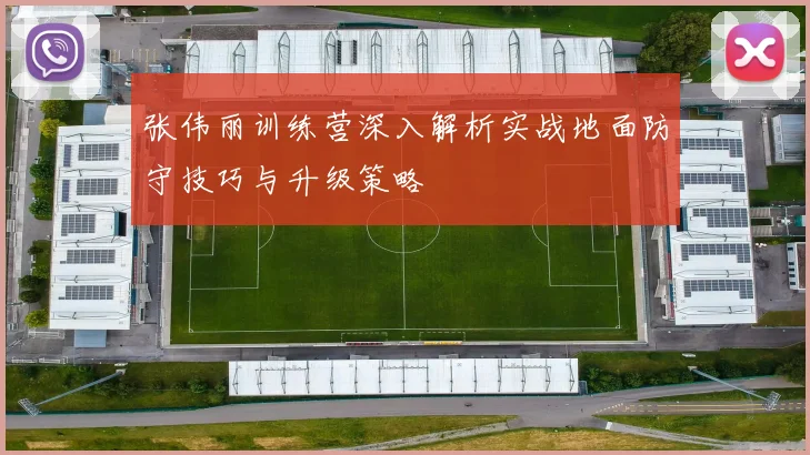 张伟丽训练营深入解析实战地面防守技巧与升级策略