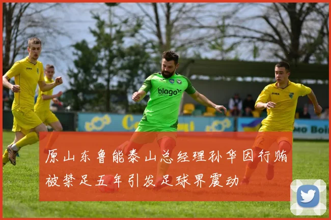 原山东鲁能泰山总经理孙华因行贿被禁足五年引发足球界震动